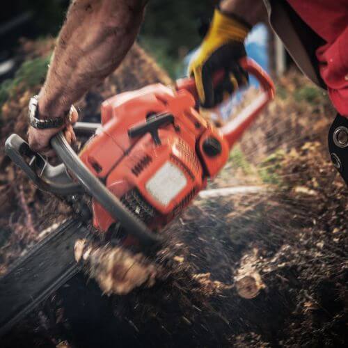 Close-up of a chainsaw cutting wood and throwing sawdust