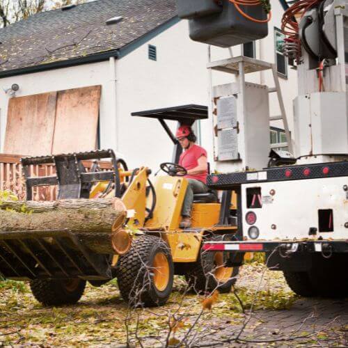 Crew loading a cut log with a skid steer beside a truck